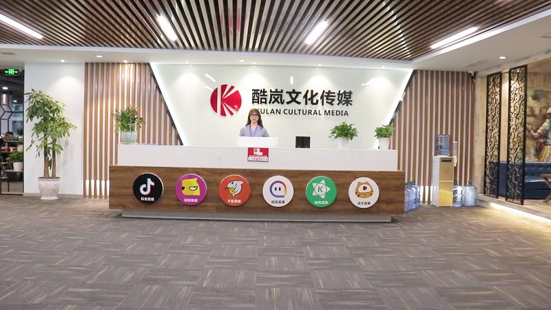 产品宣传片报价方案模板解析：优缺点与注意事项